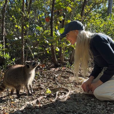 Annie Nosh's health stack