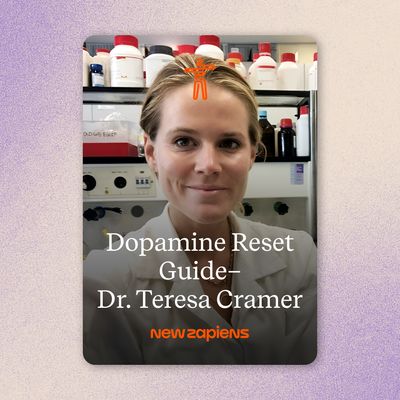 Dopamine Reset Guide