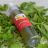 Wild Mediterranean Oregano Oil 1 oz