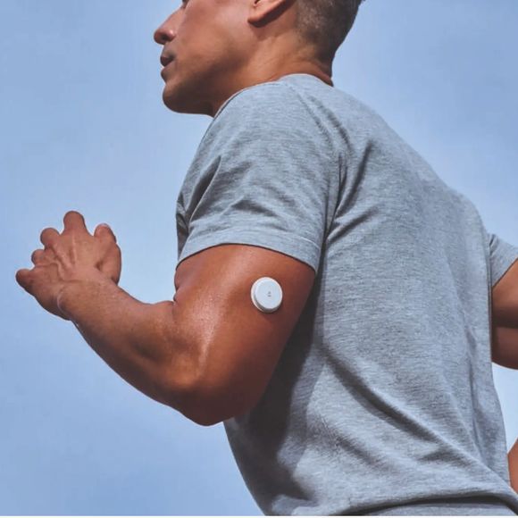 Lingo - Health and wellness company