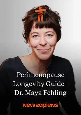 Perimenopause Longevity Guide