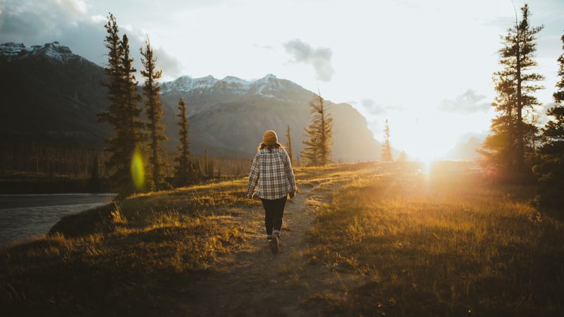 The Three S's: A Longevity Framework That Outlasts Motivation