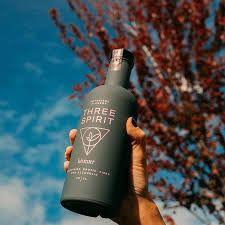 Three Spirit Drinks - Health and wellness company