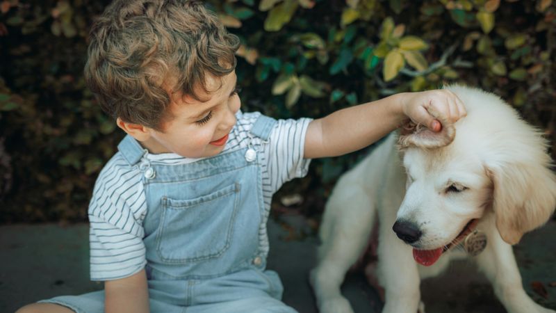 The First 1,000 Days: How Your Gut Microbiome Shapes Lifelong Health 