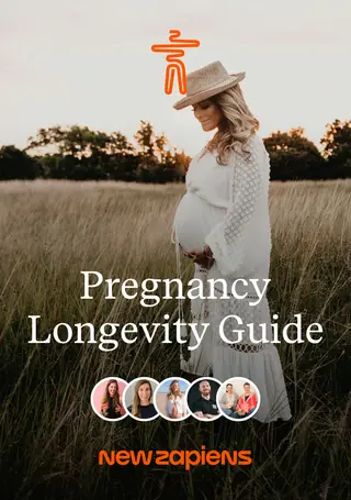 Schwangerschaft Langlebigkeit Guide
