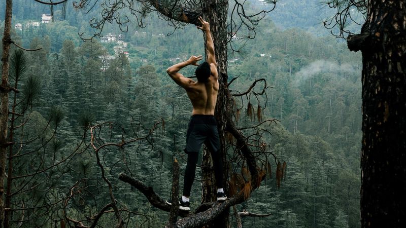 The New Male Status Symbol: High Testosterone, Naturally Earned.