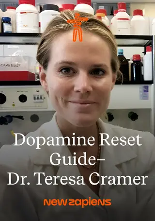 Dopamin Reset Leitfaden