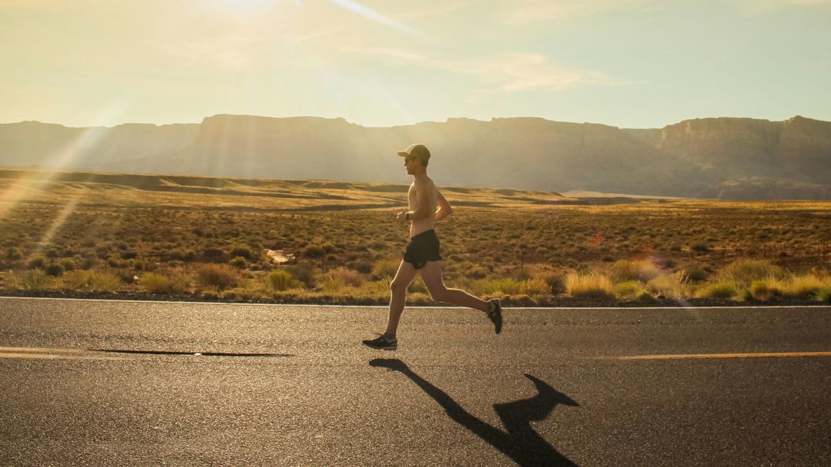 What to Do When Your Health Metrics Look Fine, Your Effort Is Real — and Progress Has Stalled