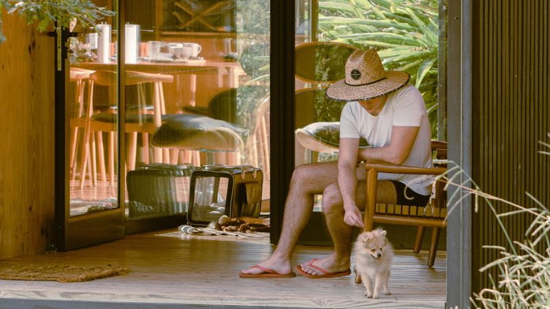 Rooted – The Healing Wisdom of Your Space