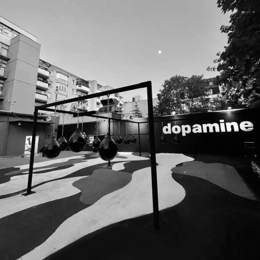 The Dopamine Studio