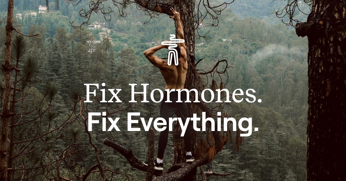 Fix Hormones. Fix Everything.