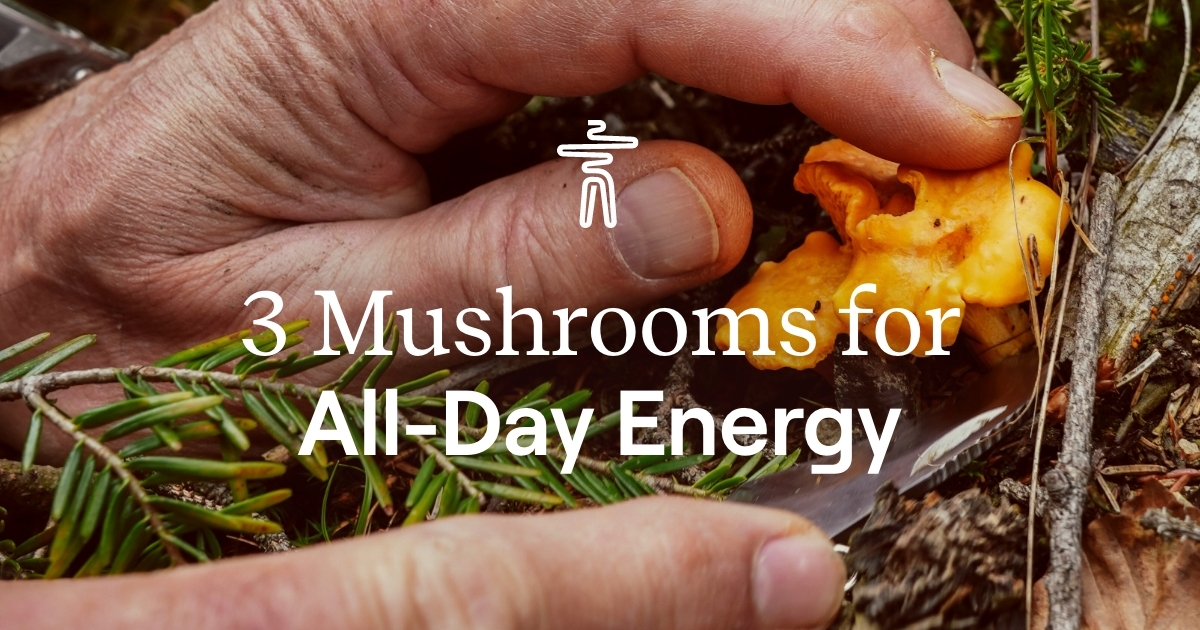 3 Mushrooms for All-Day Energy