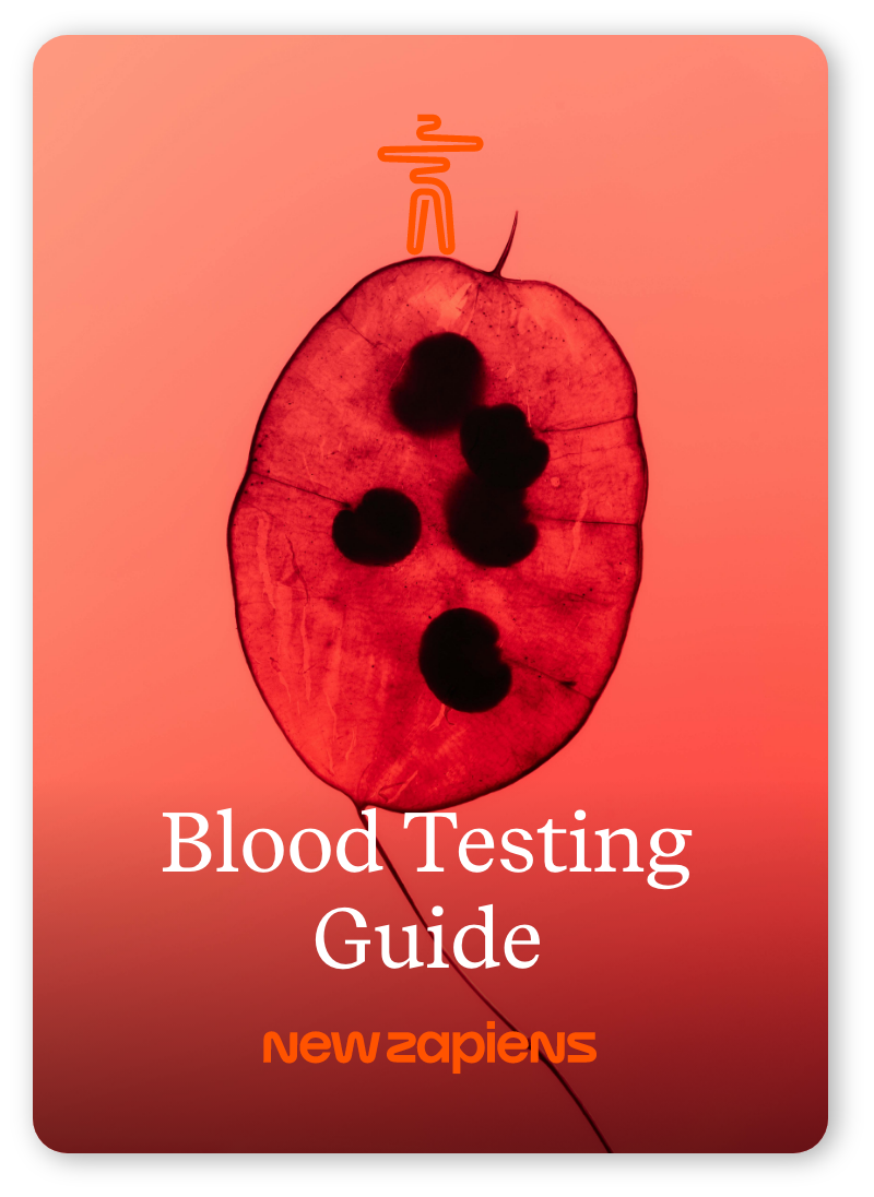 Blood Testing Guide